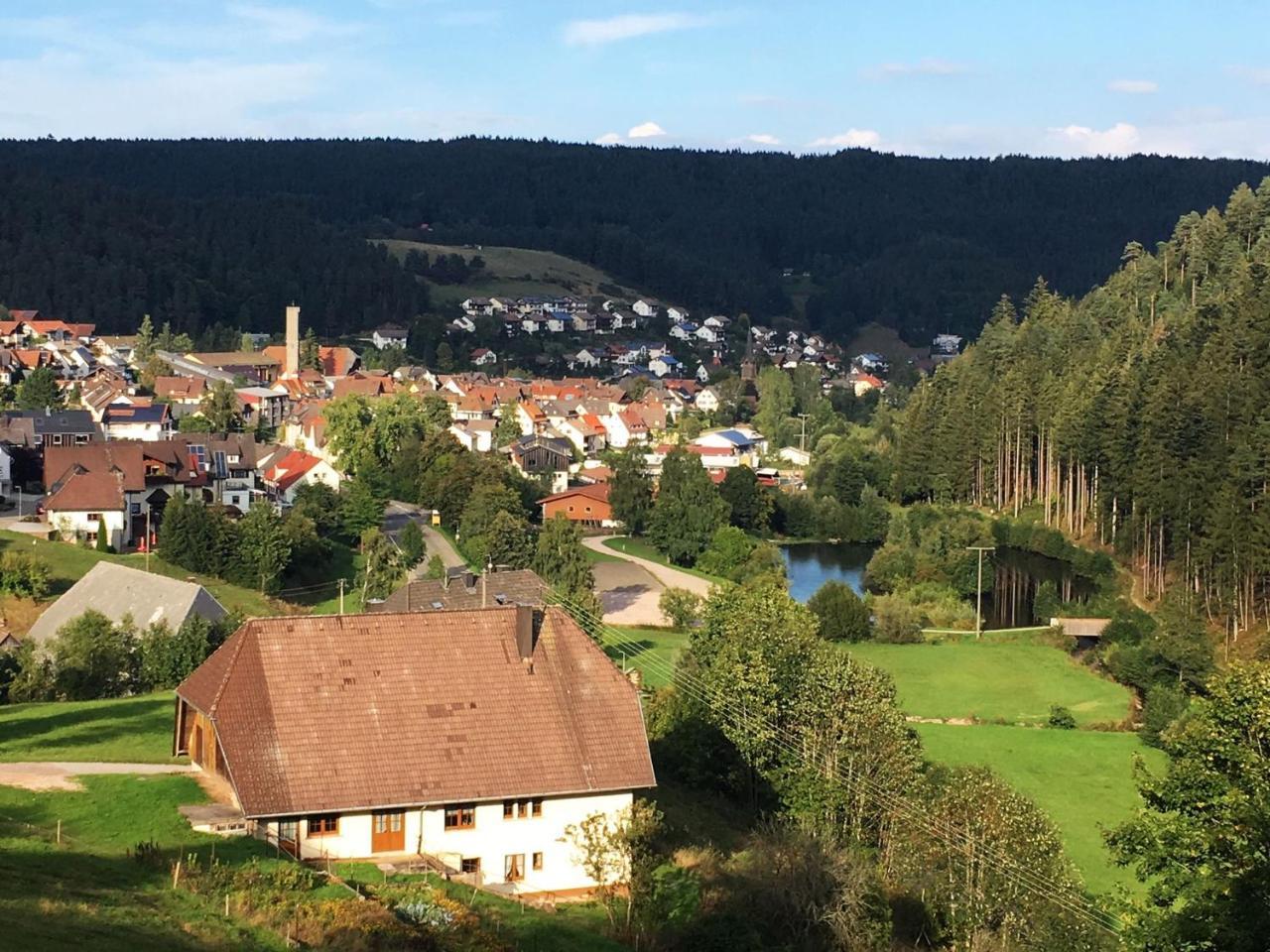 Schwarzwaldgasthaus Linde Schramberg Bagian luar foto