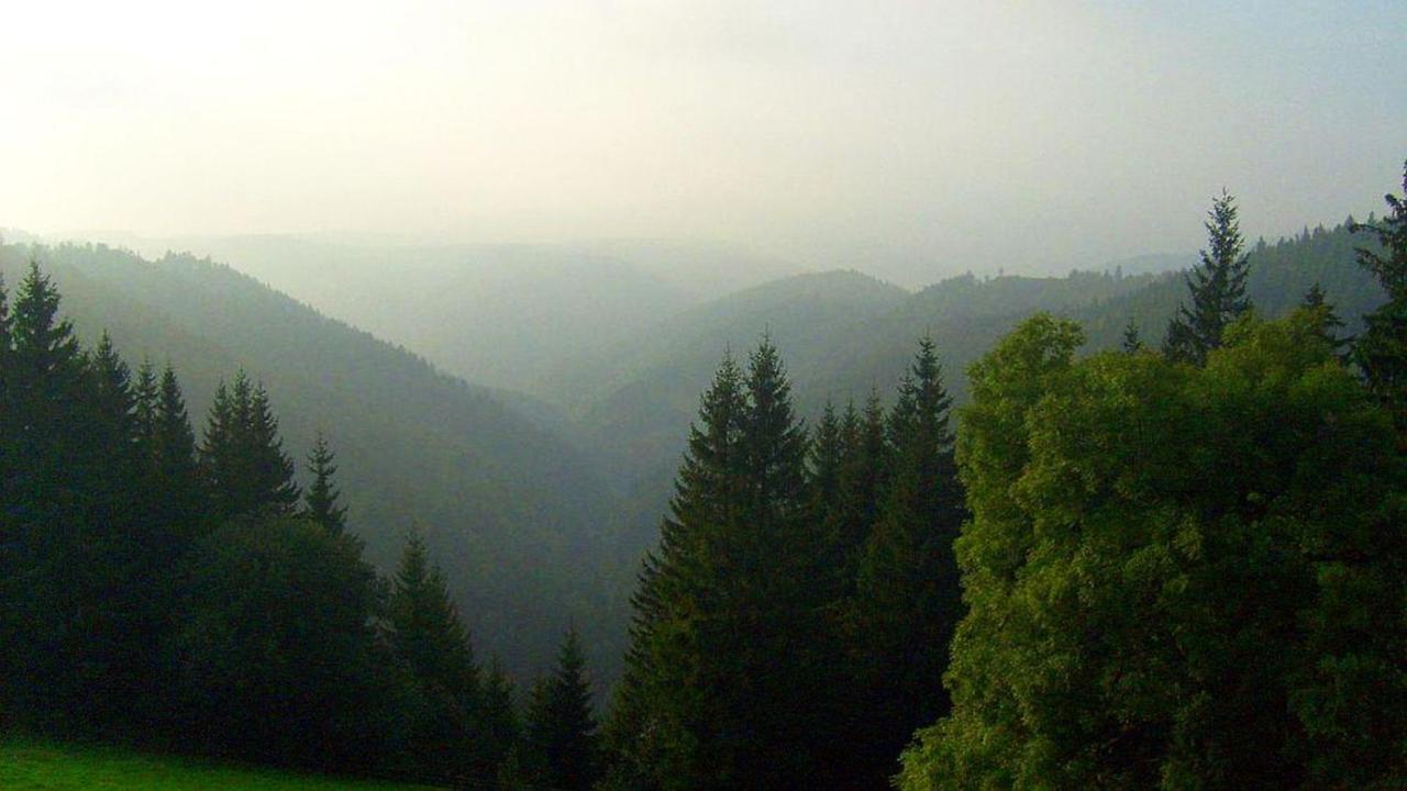 Schwarzwaldgasthaus Linde Hotel Schramberg Bagian luar foto