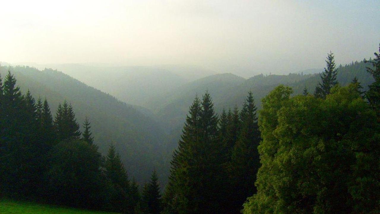 Schwarzwaldgasthaus Linde Schramberg Bagian luar foto