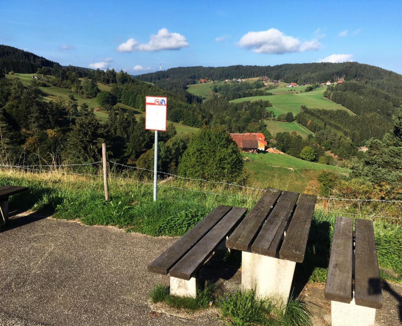 Schwarzwaldgasthaus Linde Hotel Schramberg Bagian luar foto