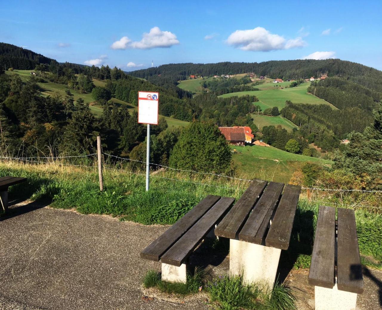 Schwarzwaldgasthaus Linde Schramberg Bagian luar foto